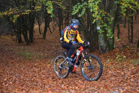 Photo 22 de 