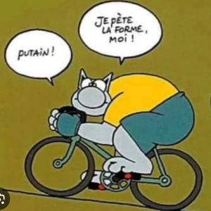 Pierre 