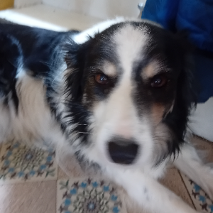 Charlie